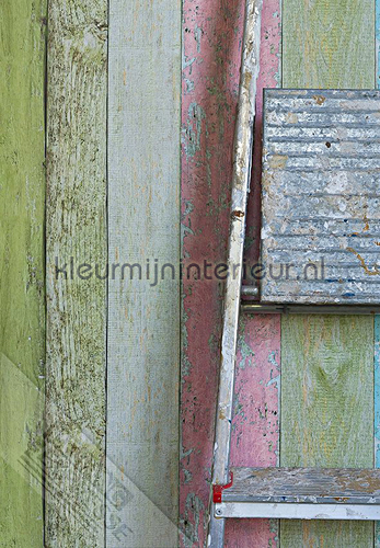 Ruw hout vrolijk gekleurd tapet ML222 Wallpaper Queen Behang Expresse